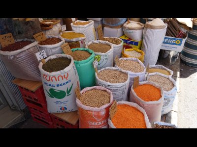 DSC02329 - Kopie.JPG